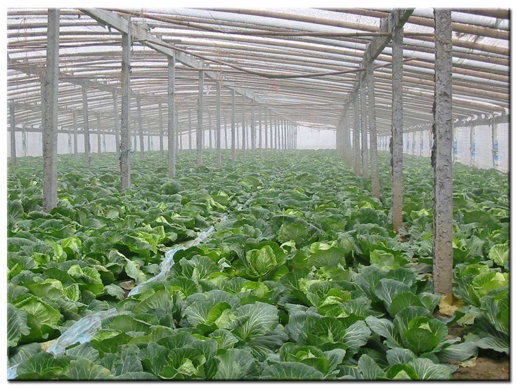 德瑞亞空壓機助力食品加工，節能無止盡